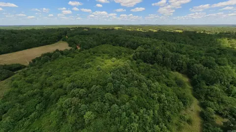 Other - 538 Pleasant Run Rd, Mammoth Spring, AR 72554 photo 15 of 18