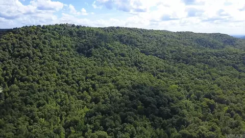 Unk Timber Lane, Mena, AR 71953