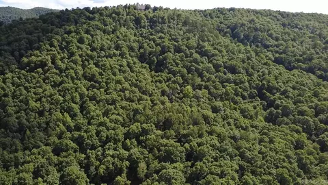 Unk Timber Lane, Mena, AR 71953 photo 8