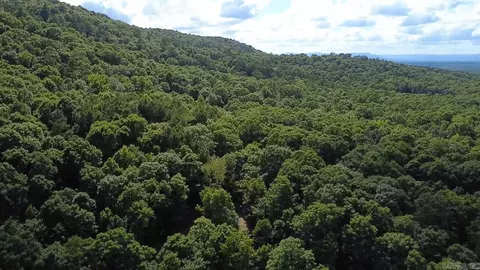 Unk Timber Lane, Mena, AR 71953 photo 11