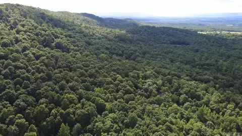 Unk Timber Lane, Mena, AR 71953 photo 5