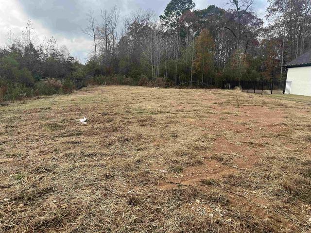 6171 Creekwater Dr, Alexander, AR 72002