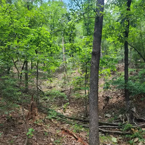 00 Dorothy Ln, Ward, AR 72176