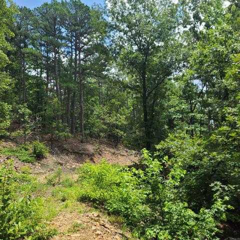000 Cedar Glade Rd #WP000, Hot Springs, AR 71913