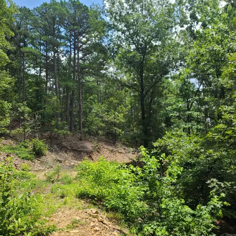 000 Cedar Glade Rd #WP000, Hot Springs, AR 71913