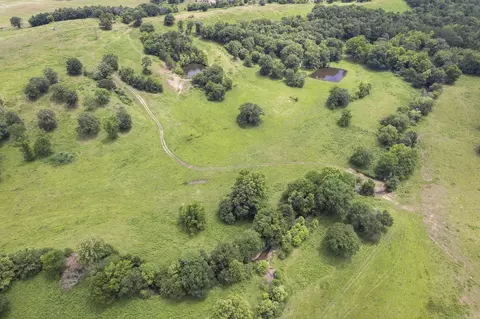 View/Area - 815 Old County Rd N, Plainview, AR 72857 photo 6 of 7