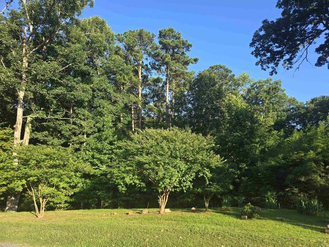 877 Makaha Pt # A, Hot Springs, AR 71913