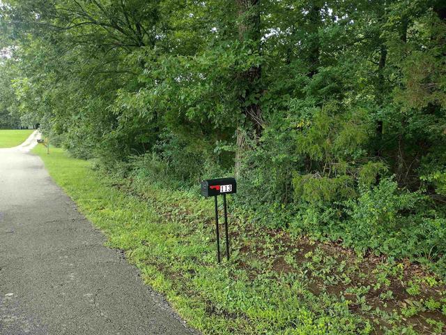 0 Green Meadows Rd, Mountain View, AR 72560