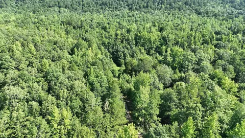 tbd Polk Road 69, Mena, AR 71953