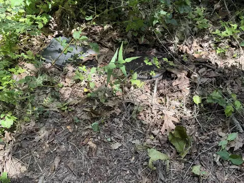 Other - 1300 Hc 33, Compton, AR 72624 photo 14 of 14