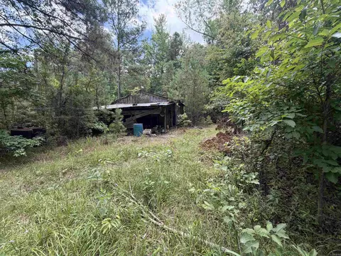 1420 Plametto Rd, Sparkman, AR 71763