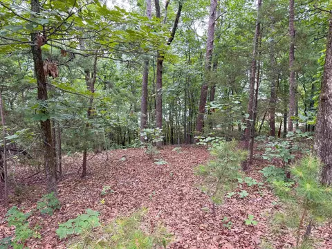 609 Lakefront Rd, Quitman, AR 72131 photo 19