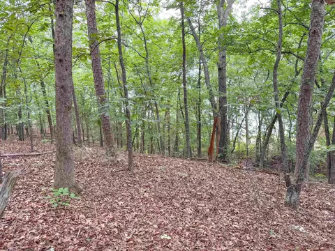 609 Lakefront Rd, Quitman, AR 72131 photo 22