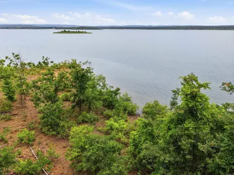 609 Lakefront Rd, Quitman, AR 72131 photo 13