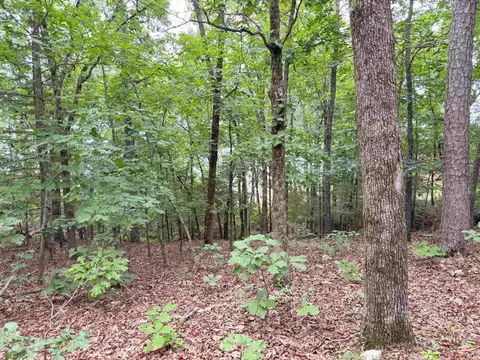 609 Lakefront Rd, Quitman, AR 72131 photo 23