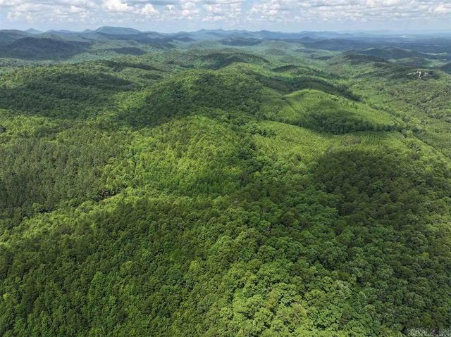 tbd Polk Road 61, Mena, AR 71953