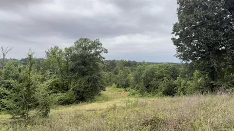 80 Acres Hwy 41, De Queen, AR 71832 photo 4