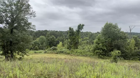 80 Acres Hwy 41, De Queen, AR 71832