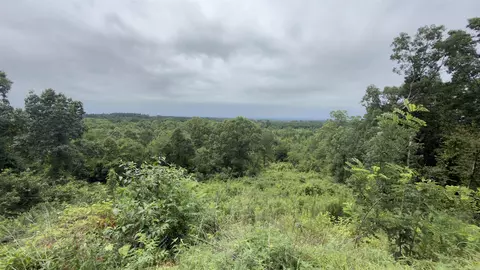 80 Acres Hwy 41, De Queen, AR 71832 photo 6