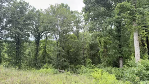 80 Acres Hwy 41, De Queen, AR 71832 photo 5