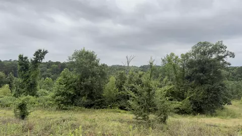 80 Acres Hwy 41, De Queen, AR 71832 photo 3