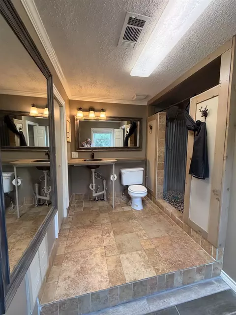 Bath - 1861 Ferguson Ln, Lonoke, AR 72086 photo 4 of 5