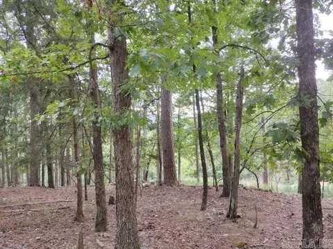 85 Mesero Way, Hot Springs Village, AR 71909