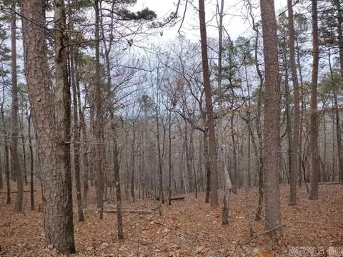 102 Mesero Way, Hot Springs Village, AR 71909