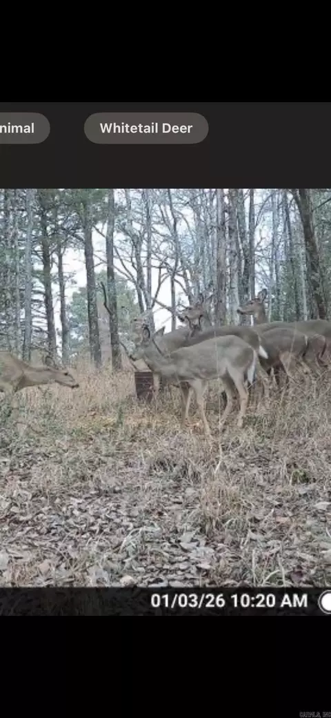00 Hwy 321, Beebe, AR 72012 photo 6