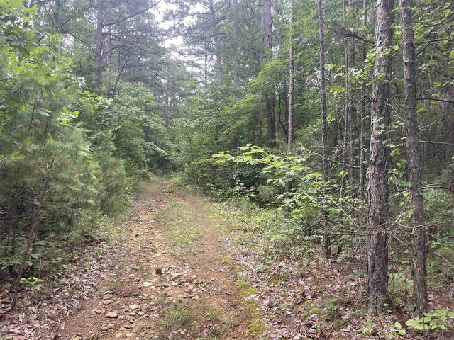 000 Sylvan Ln, Clinton, AR 72031