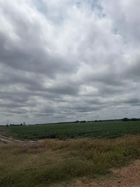 77 7 Acres Pineview Rdbenson Ln, Trumann, AR 72472 photo 12