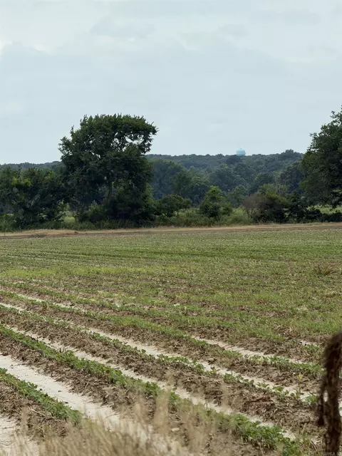 77 7 Acres Pineview Rdbenson Ln, Trumann, AR 72472 photo 11