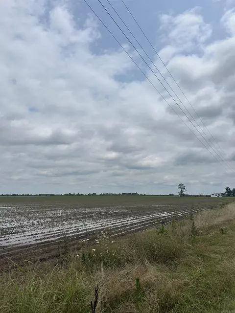 77 7 Acres Pineview Rdbenson Ln, Trumann, AR 72472 photo 13
