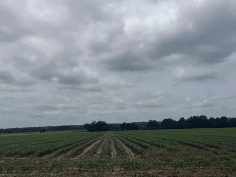 77 7 Acres Pineview Rdbenson Ln, Trumann, AR 72472
