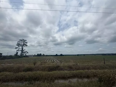 77 7 Acres Pineview Rdbenson Ln, Trumann, AR 72472 photo 9