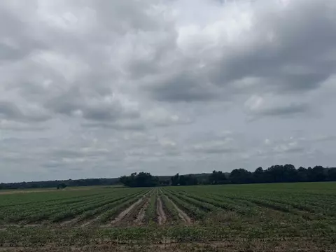 77 7 Acres Pineview Rdbenson Ln, Trumann, AR 72472 photo 8