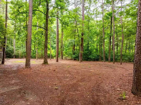 0 Middle Fork Rd, Hector, AR 72843 photo 14