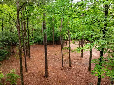 0 Middle Fork Rd, Hector, AR 72843 photo 15