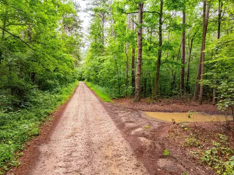 0 Middle Fork Rd, Hector, AR 72843 photo 13