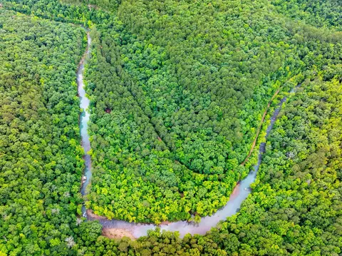 0 Middle Fork Rd, Hector, AR 72843 photo 47