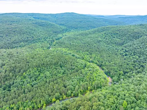 0 Middle Fork Rd, Hector, AR 72843 photo 41