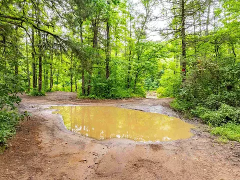 0 Middle Fork Rd, Hector, AR 72843 photo 19
