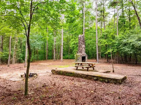 0 Middle Fork Rd, Hector, AR 72843 photo 16