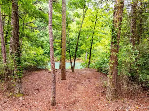 0 Middle Fork Rd, Hector, AR 72843 photo 17