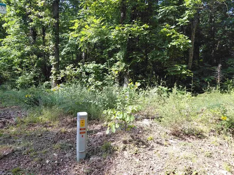 Ponderosa Lane, Ozark Acres, AR 72482