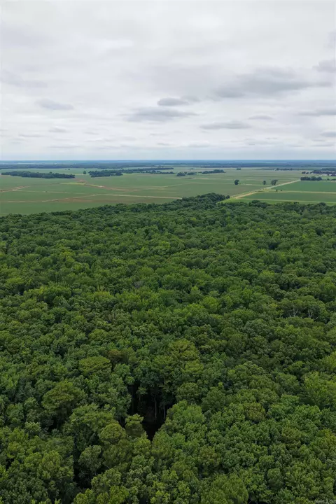 00 Rex Hancock Rd, Gregory, AR 72059 photo 5