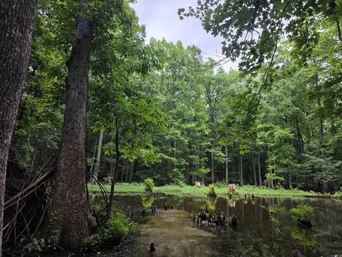 00 Rex Hancock Rd, Gregory, AR 72059 photo 12