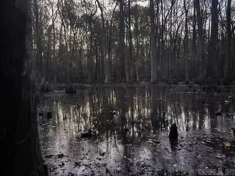 00 Rex Hancock Rd, Gregory, AR 72059 photo 32