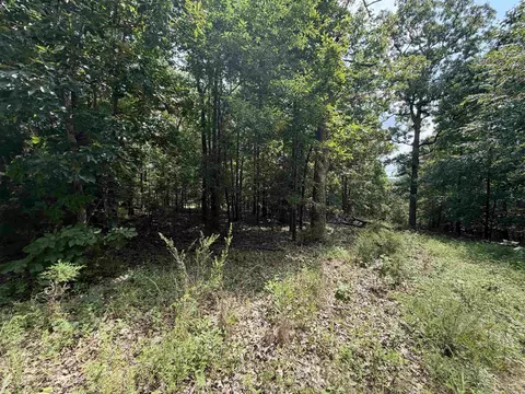lot25 Blackfoot Dr, Cherokee Village, AR 72529