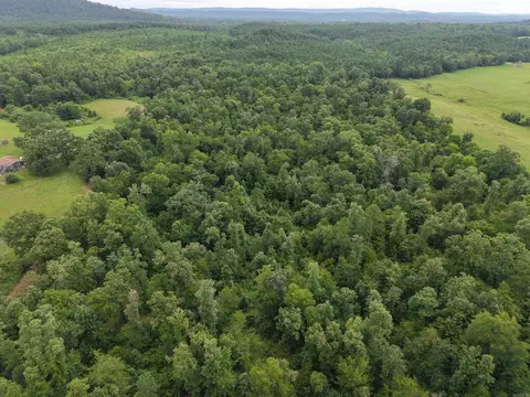 Nnn Nubbin Ridge, Royal, AR 71968